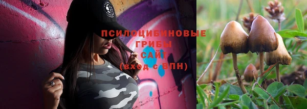 гидра Армянск