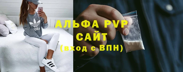 стаф Аркадак
