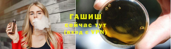 стаф Аркадак
