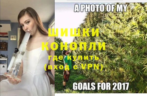 гидра Армянск