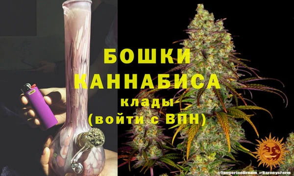 стаф Аркадак