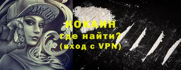 стаф Аркадак