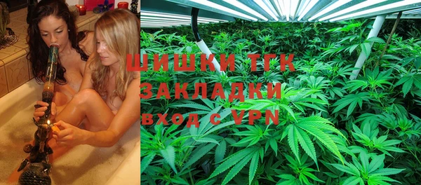 стаф Аркадак