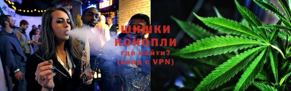 стаф Аркадак