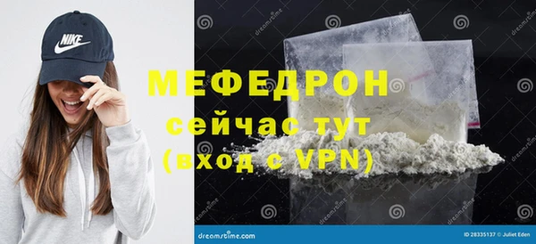 стаф Аркадак
